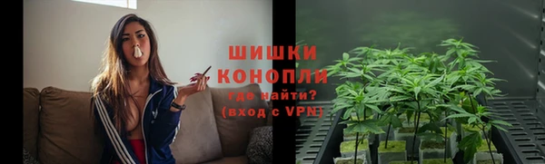 ПСИЛОЦИБИНОВЫЕ ГРИБЫ Балахна