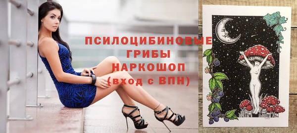 ПСИЛОЦИБИНОВЫЕ ГРИБЫ Балахна